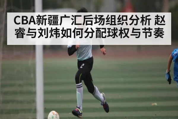 CBA新疆广汇后场组织分析 赵睿与刘炜如何分配球权与节奏